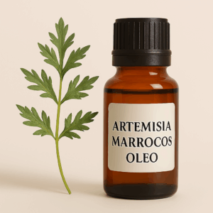 Artemisia Marrocos Óleo