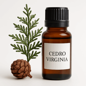 Cedro Virginia Óleo