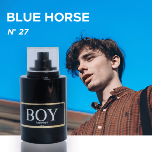 N 27 Blue Horse
