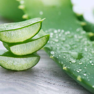 EXTRATO GLICOLICO DE ALOE E VERA