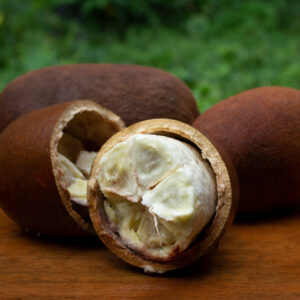 EXT. GLICOLICO DE CUPUAÇU