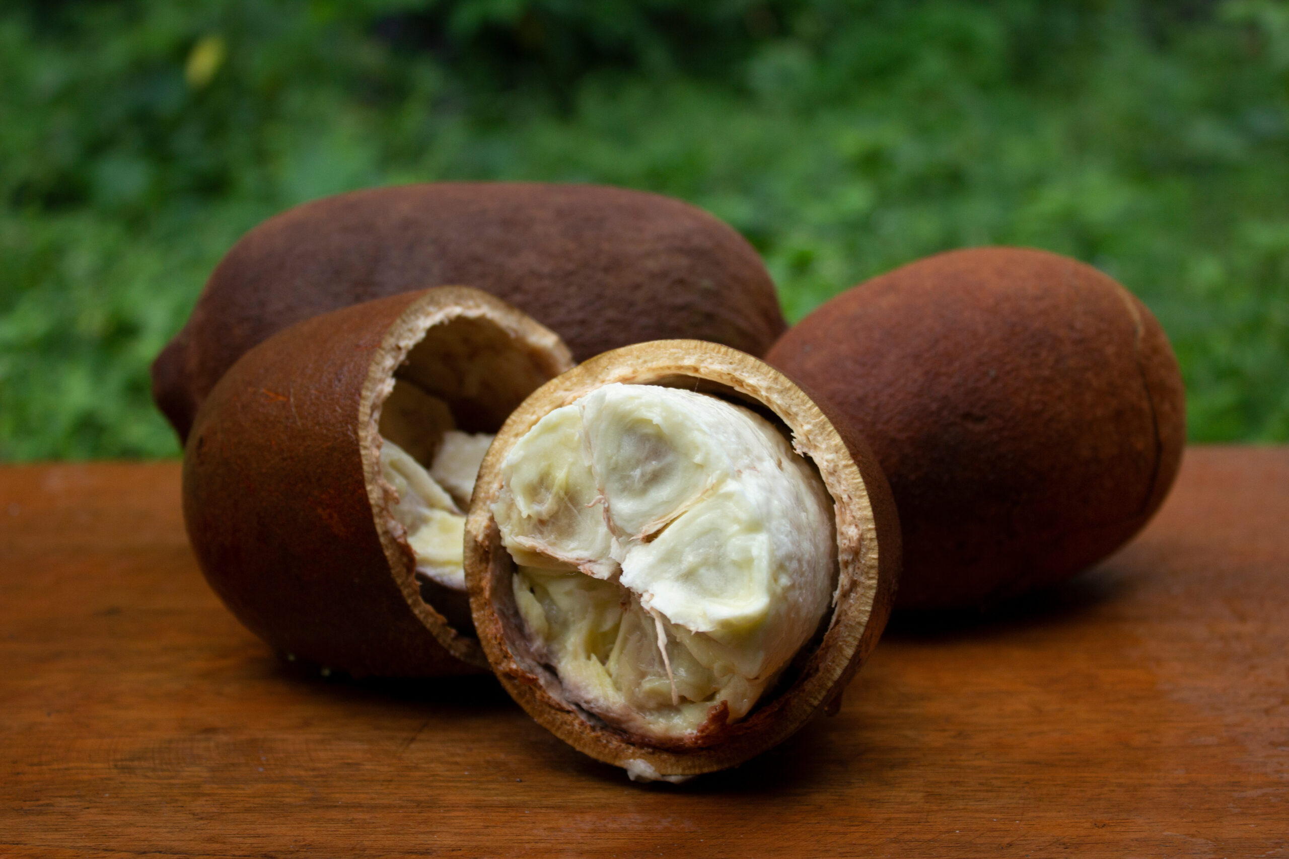 EXT. GLICOLICO DE CUPUAÇU