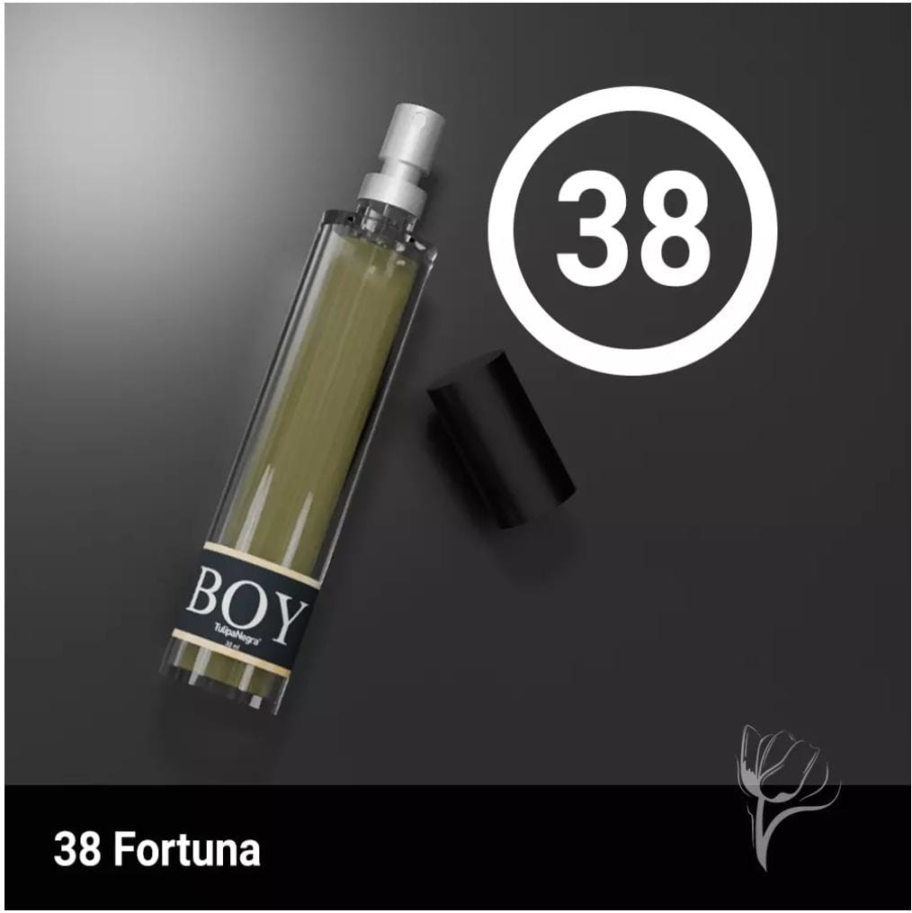 N 38 FORTUNA: INSPIRACAO OLFATIVA : ONE MILLION - Imagem 2