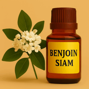 Óleo Benjoin Sian